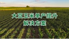 大豆玉米单产提升解决方案