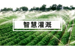 智慧灌溉解决方案 水肥一体化 自动灌溉系统