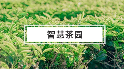 智慧茶园解决方案
